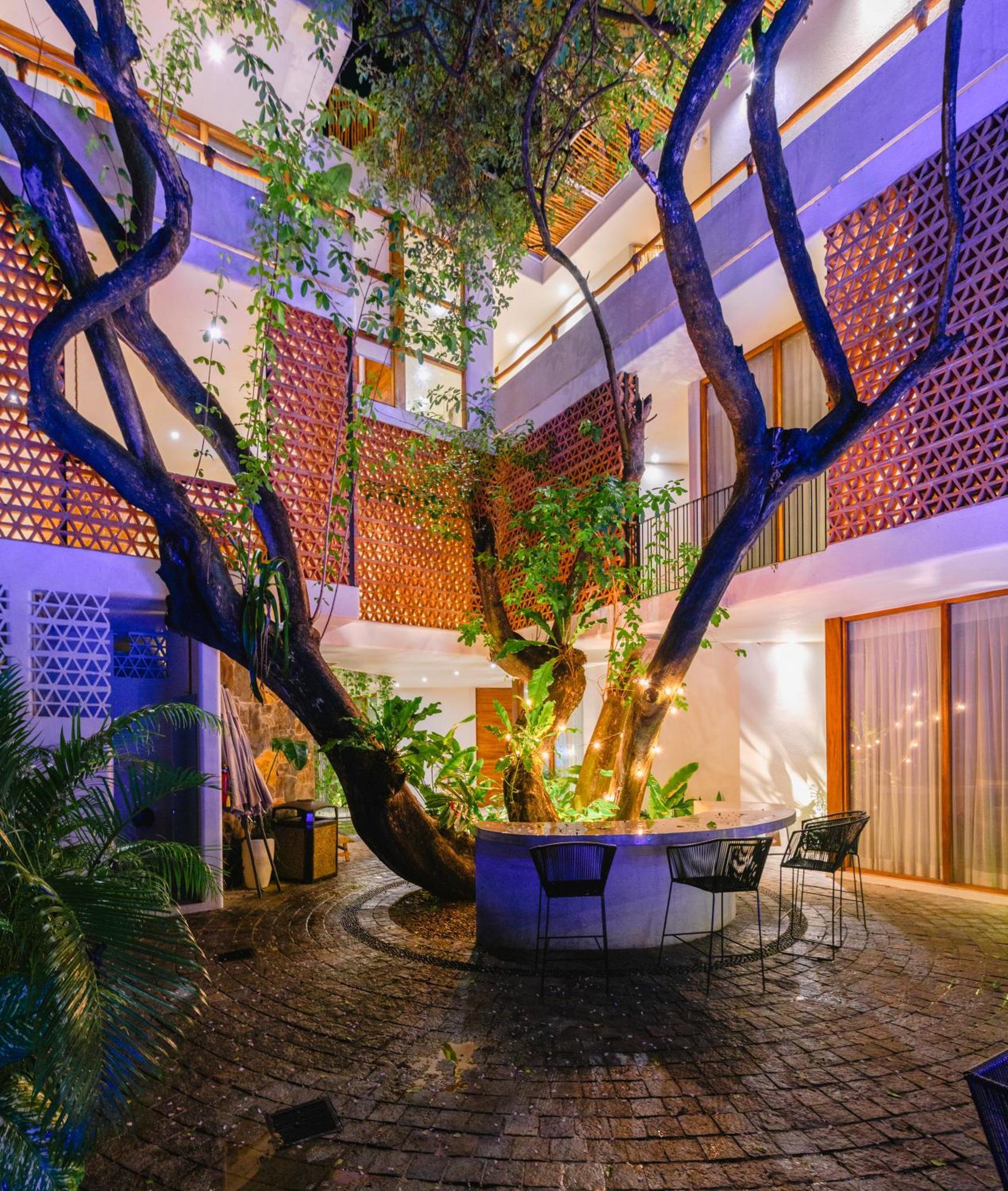 Agua de Luna Boutique Hotel San Francisco  Extérieur photo
